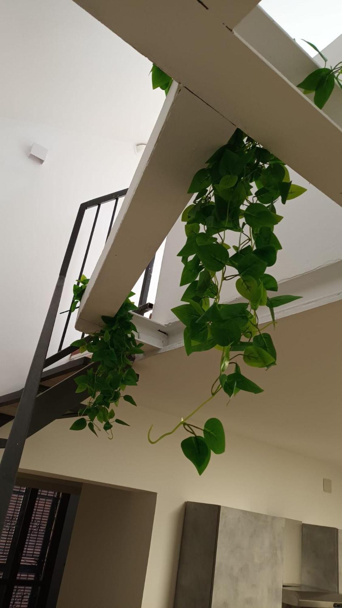 Casa N 1 Con Parcheggio Privato E Colonnina Ricarica Apartment Livorno Luaran gambar